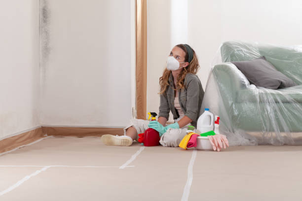 Reliable Mold Remediation contractor in West Hempstead, NY by WQB Mold Removal